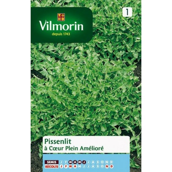 Dandelion seeds 537F Aromatics seeds Dandelion seeds 537F Aromatics seeds