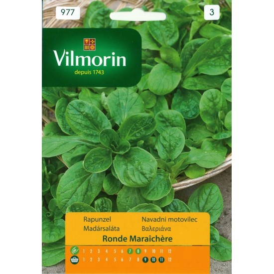 Valerian seeds 977 Aromatics seeds Valerian seeds 977 Aromatics seeds