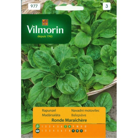 Valerian seeds 977 Aromatics seeds 