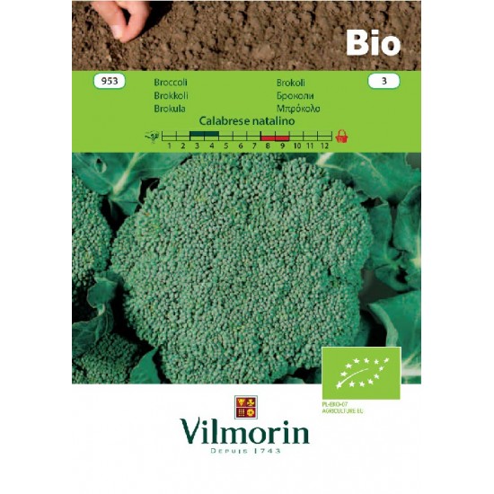 Broccoli bio calabrese 953 Organic seeds
