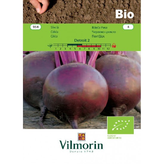 Beetroot bio detroit 954 Organic seeds