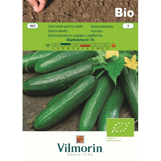 Cucumber bio marketmore 965 Organic seeds