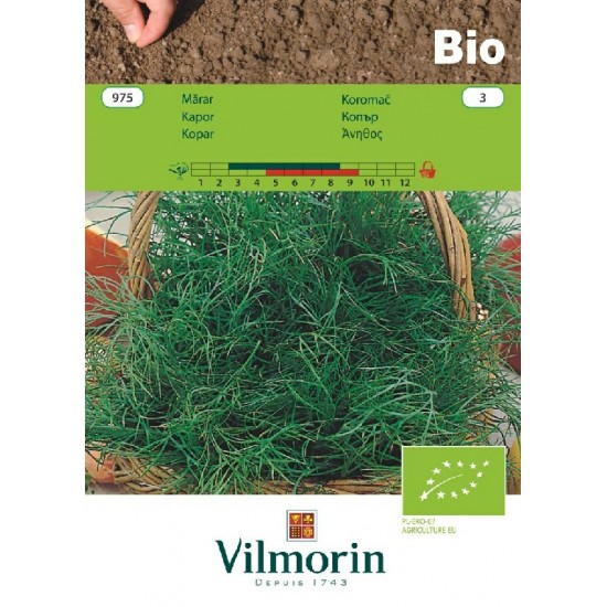 Dill bio 975 Organic seeds