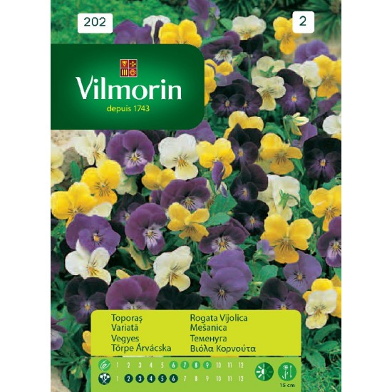 Viola cornouta 202 Flower seeds Viola cornouta 202 Flower seeds