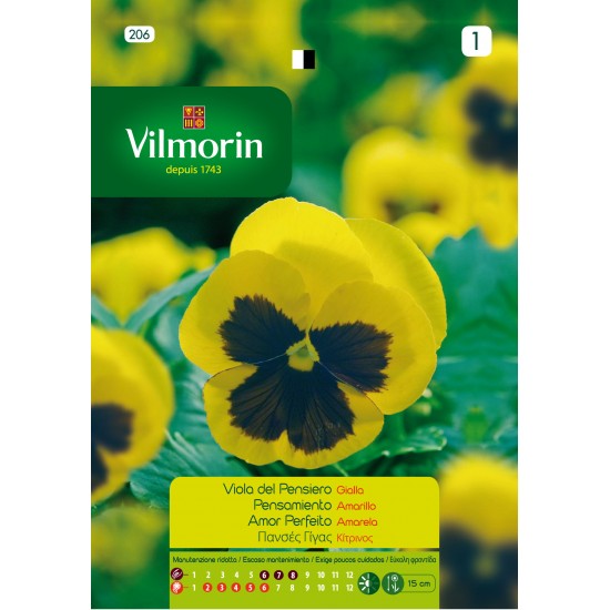 Yellow Pansy 206 Flower seeds