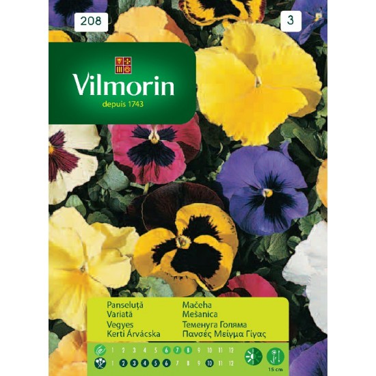 Pansy giant mixture 208 Flower seeds