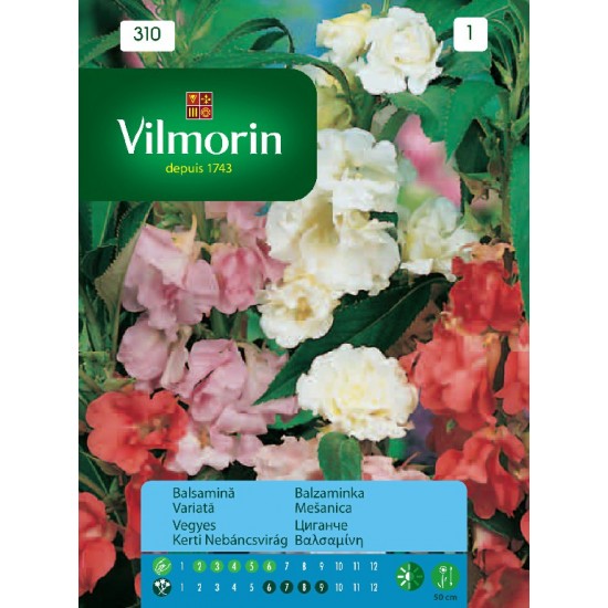 Balsamine seeds 310 Flower seeds