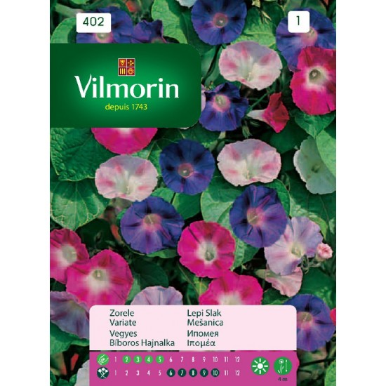 Ipomoea mixture 402 Flower seeds Ipomoea mixture 402 Flower seeds