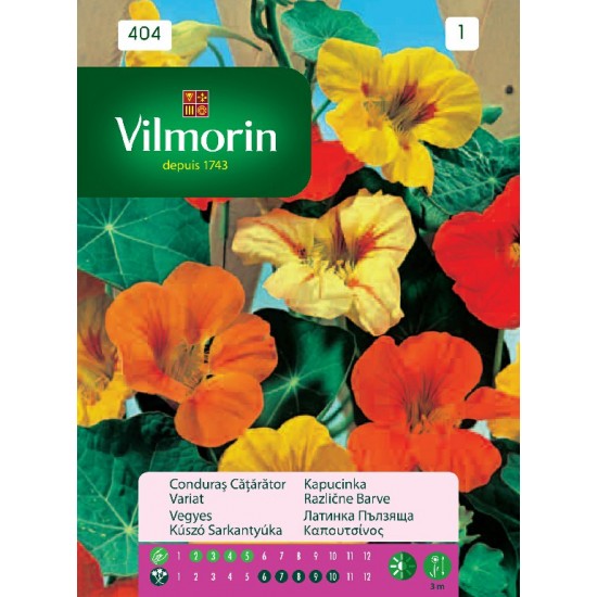 Capuchino climber 404 Flower seeds Capuchino climber 404 Flower seeds