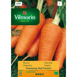 Carrot chantenay  608