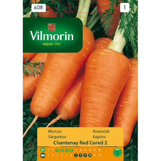 Carrot chantenay  608 Vegetable seeds