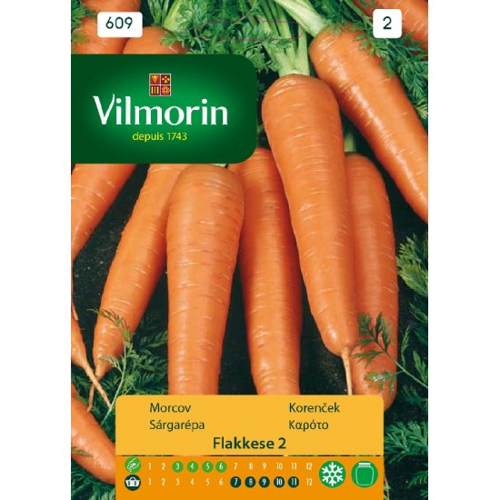 Carrot frakkese 609 Vegetable seeds