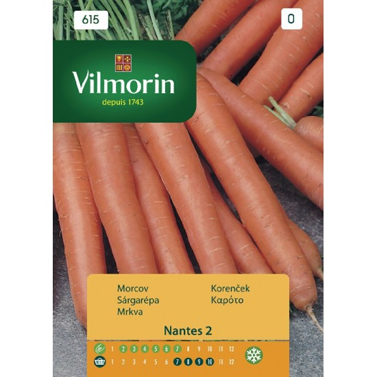 Carrot nantes 615 Vegetable seeds