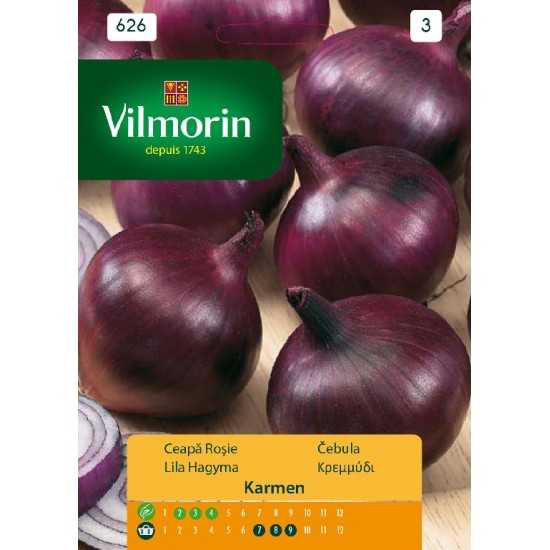 Onion karmen 626 Vegetable seeds
