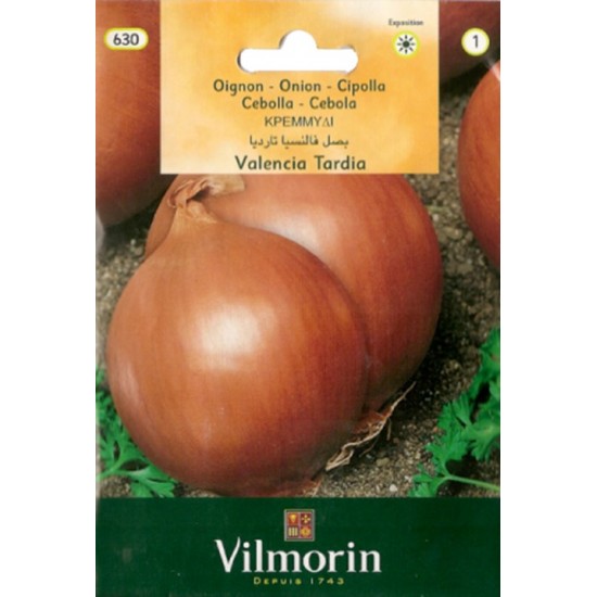 Onion Valencia Tardia 630F Vegetable seeds