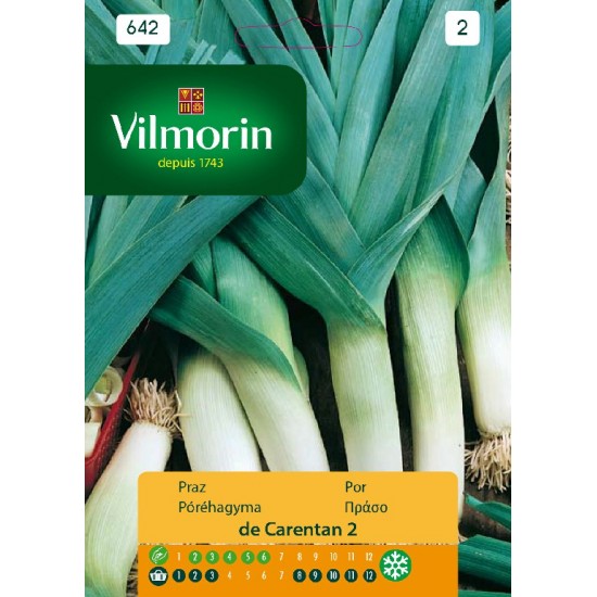 Leek carentan 642 Vegetable seeds