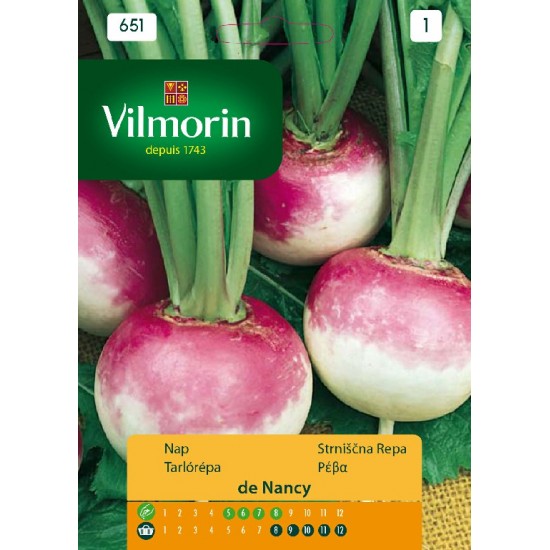 Turnip nancy 651 Vegetable seeds
