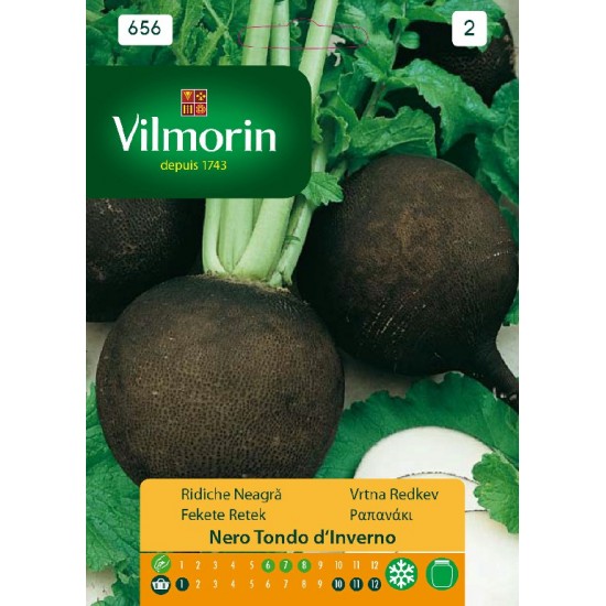 Radish nero tondo 656  Vegetable seeds