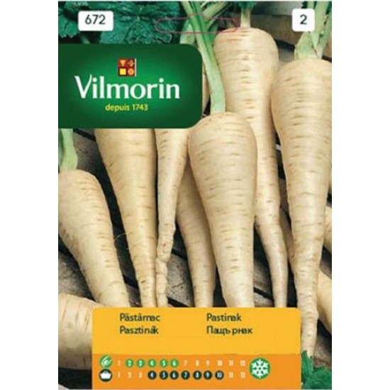 Carrot parsnip 672 Vegetable seeds