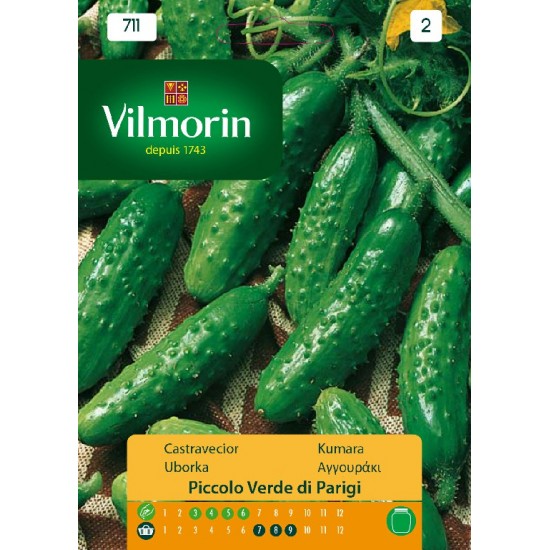 Cucumber piccolo 711 Vegetable seeds