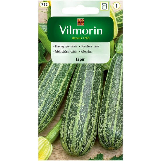 Zucchini tapir  712 Vegetable seeds