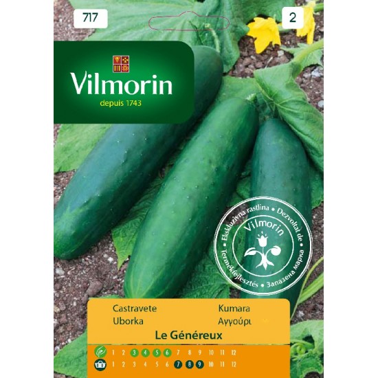 Cucumber genereux 717 Vegetable seeds Cucumber genereux 717 Vegetable seeds