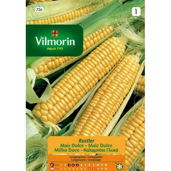 Corn rustler 726F Vegetable seeds