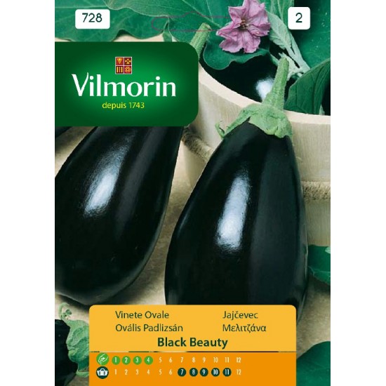 Εggplant black beauty 728 Vegetable seeds