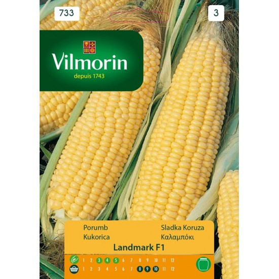 Corn Landmark 733 Vegetable seeds