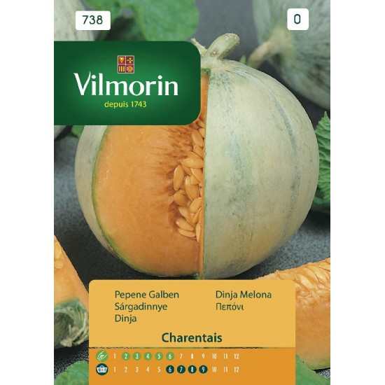 Melon charentais 738 Vegetable seeds