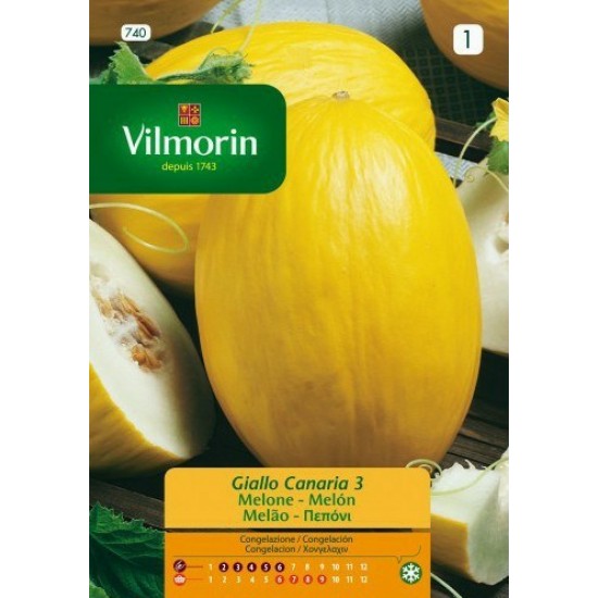 Melon canaria 740F Vegetable seeds