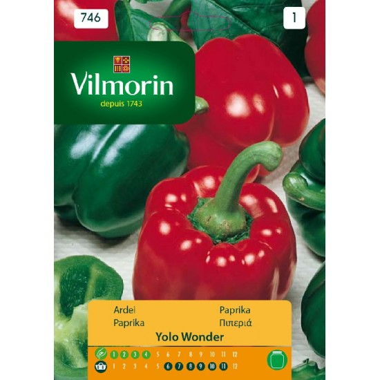 Pepper yolo wonder 746 Vegetable seeds