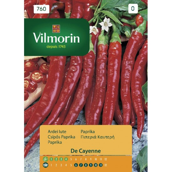 Pepper cayenne 760 Vegetable seeds