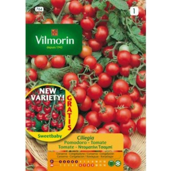 Tomato cerise 764  Vegetable seeds