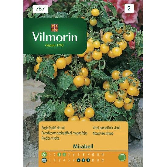 Tomato mirabell 767 Vegetable seeds