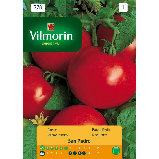 Tomato saint pierre 778 Vegetable seeds