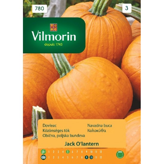Pumpkin o'lantern 780 Vegetable seeds