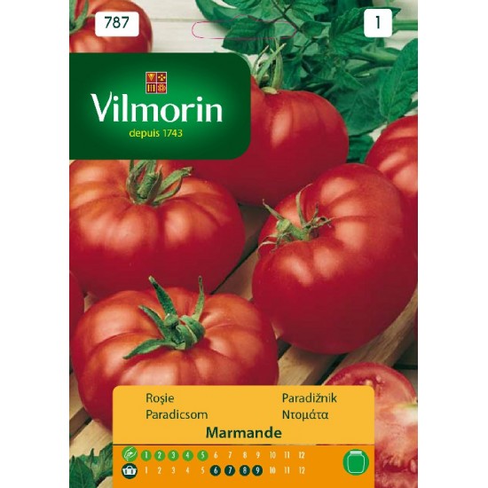 Tomato marmande 787 Vegetable seeds