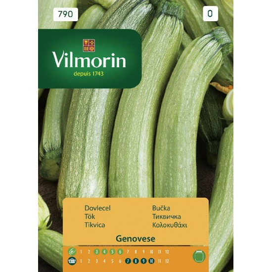 Zucchini genovese 790 Vegetable seeds