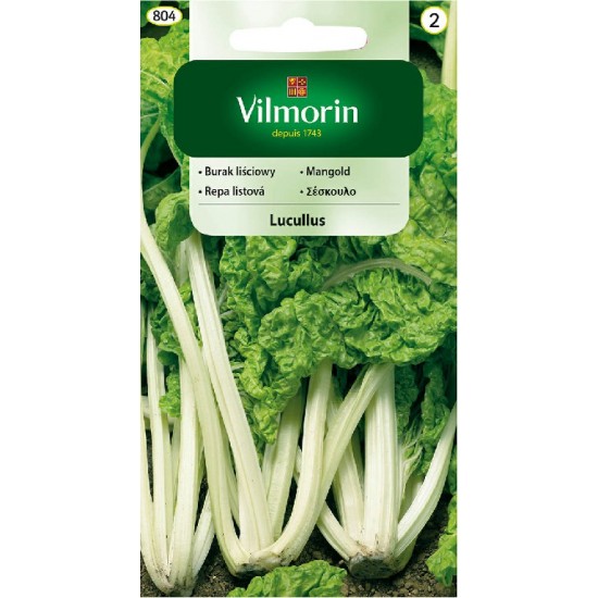Chard lucullus 804S Vegetable seeds