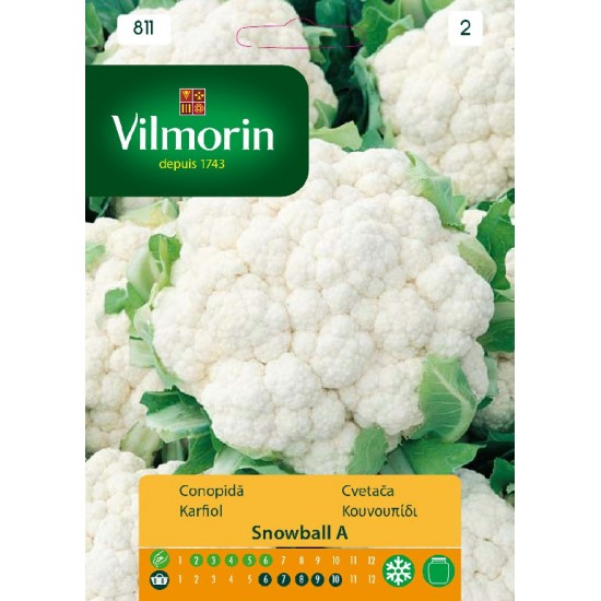 Cauliflower snowball 811 Vegetable seeds