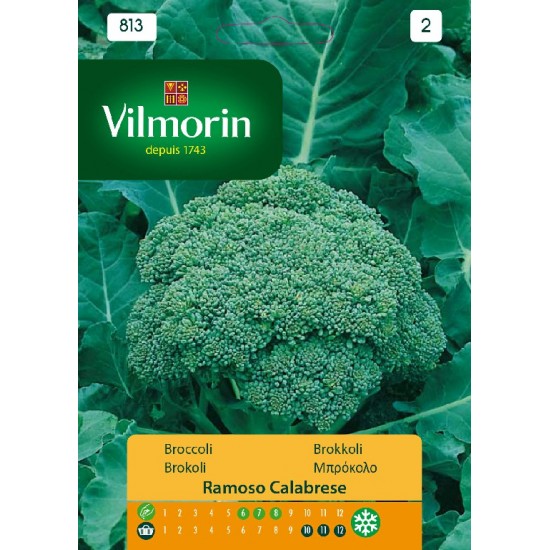 Βroccoli ramoso 813 Vegetable seeds