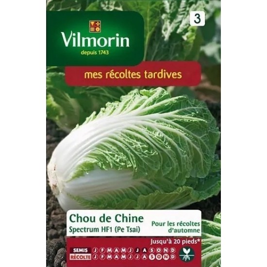 Cabbage pak choi 840 Vegetable seeds