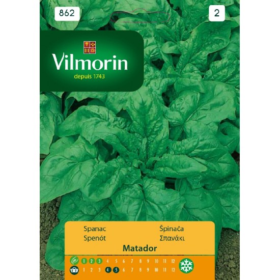 Spinach matador 862 Vegetable seeds