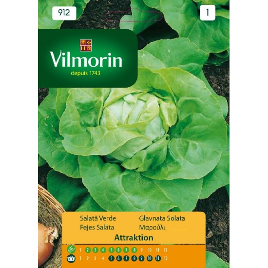 Lettuce attraktion 912 Vegetable seeds