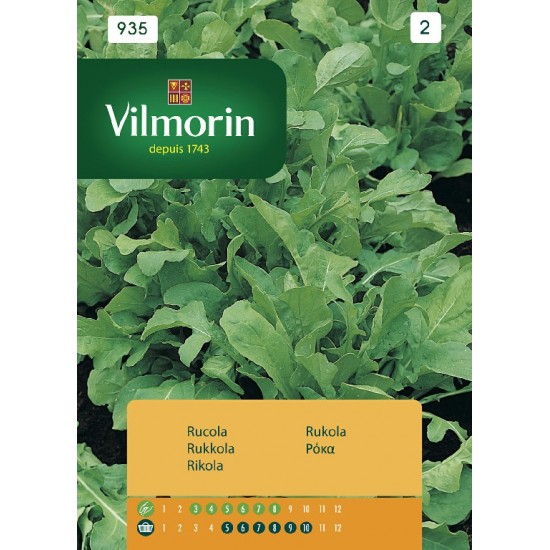 Αrugula 935 Vegetable seeds