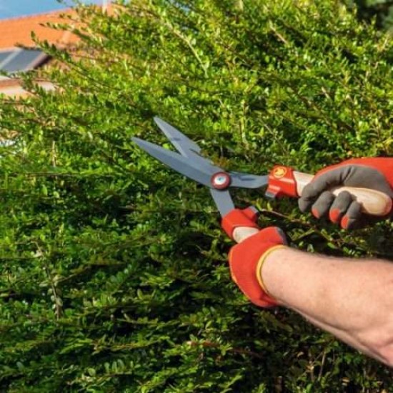 Boxwood shear HS - BW Hedge shears Boxwood shear HS - BW Hedge shears