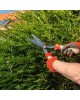 Boxwood shear HS - BW Hedge shears Boxwood shear HS - BW Hedge shears