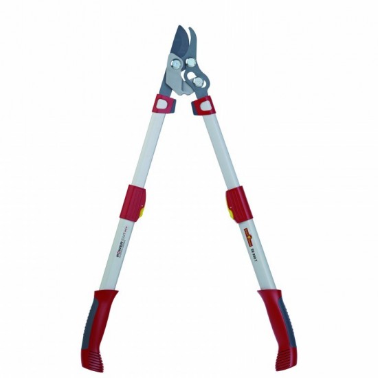 Telescopic prunning lopper RR 900T  Loppers