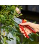 Secateur RR 2500 Secateurs Secateur RR 2500 Secateurs